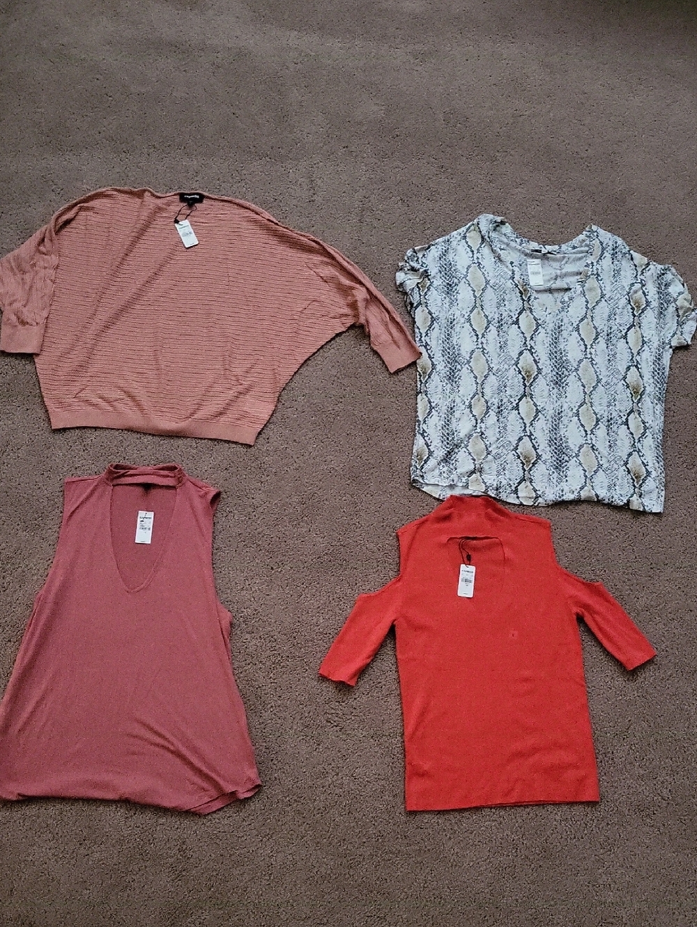 Express-Lot of 4 Women’s Tops - Coral, Dusty Rose, Red, Snakeskin Print